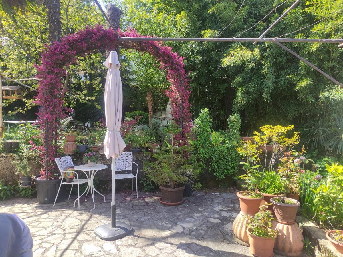 Apartment Valenta Poreč Dış mekan fotoğraf