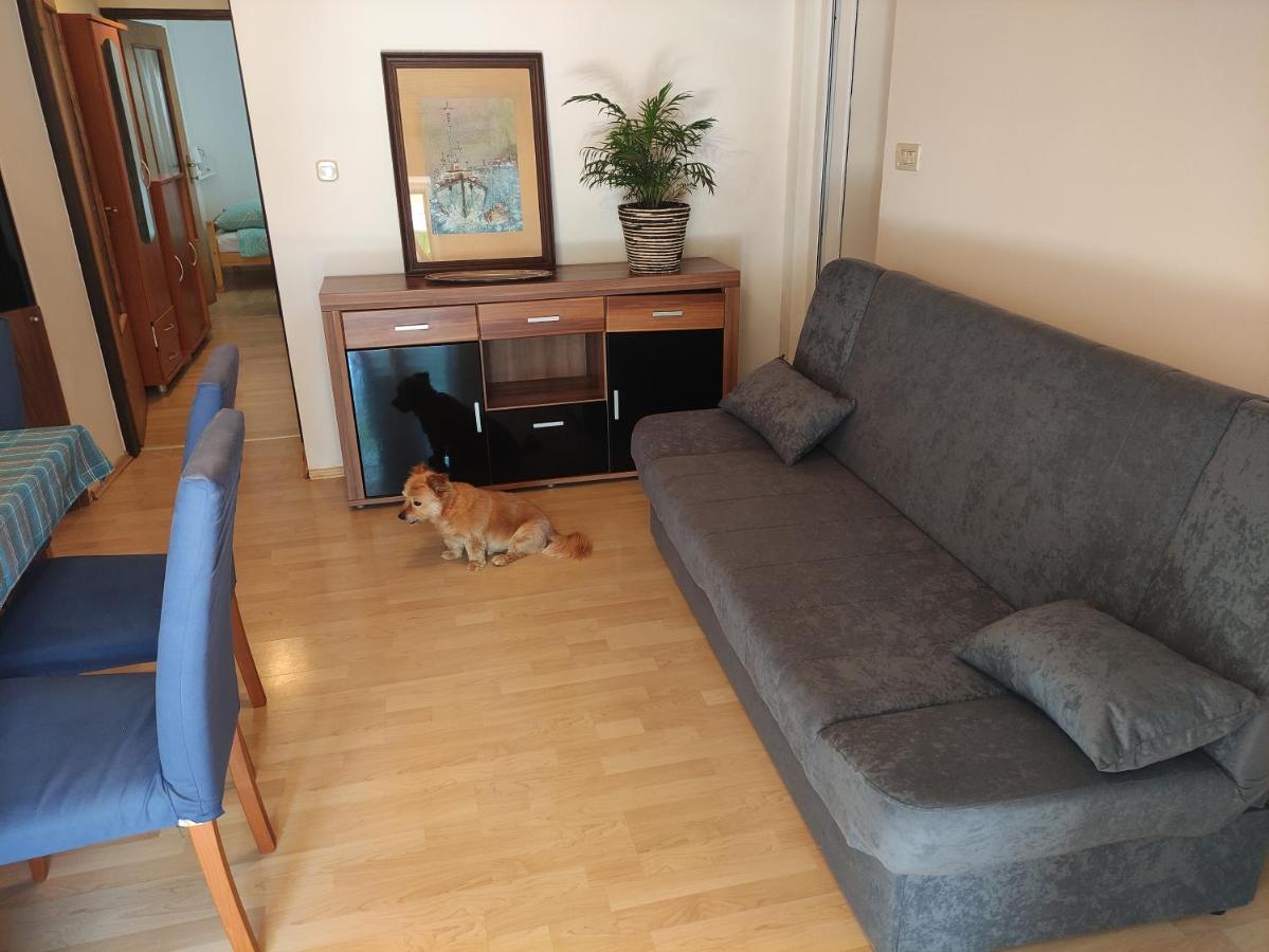 Apartment Valenta Poreč Dış mekan fotoğraf